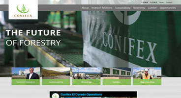 Ryan Cameron - WordPress Expert